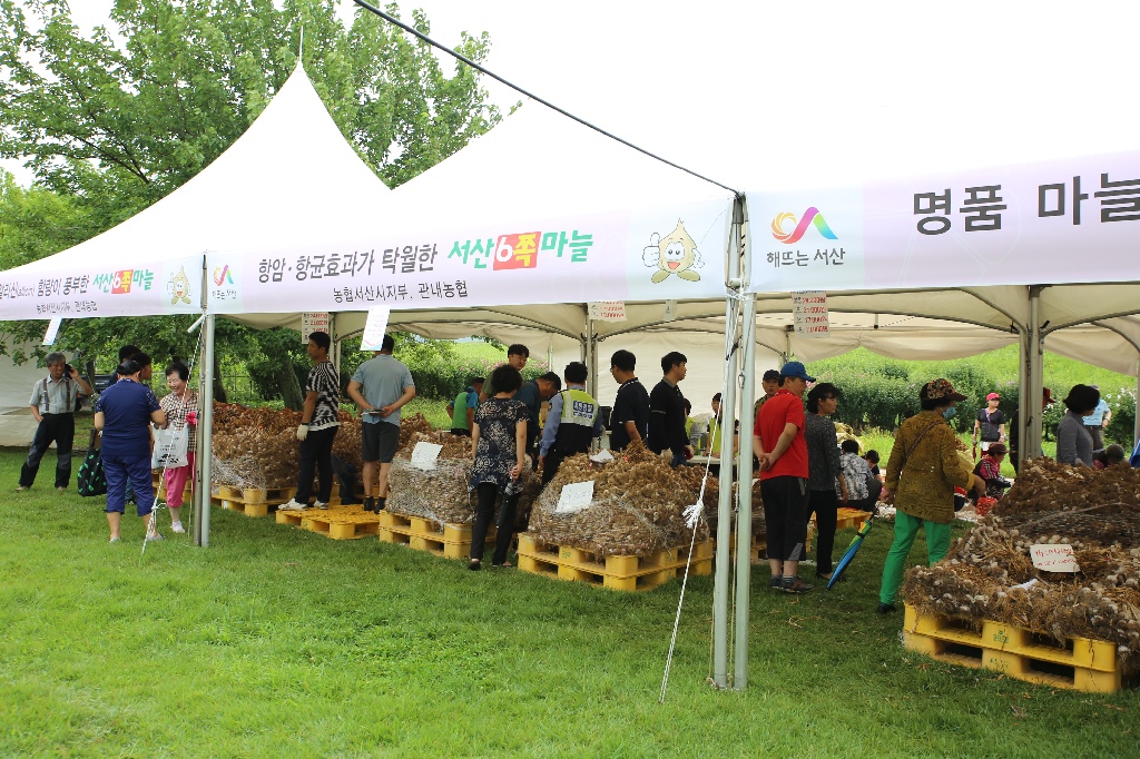2017 서산6쪽마늘 축제
